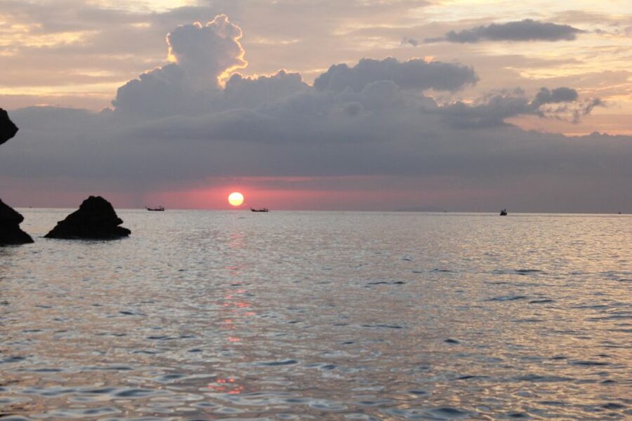 Ko Phi Phi Don: Speedboat Day Trip with Shark Snorkeling - Viking Cave and Shark-Focused Snorkeling: What You Can Control