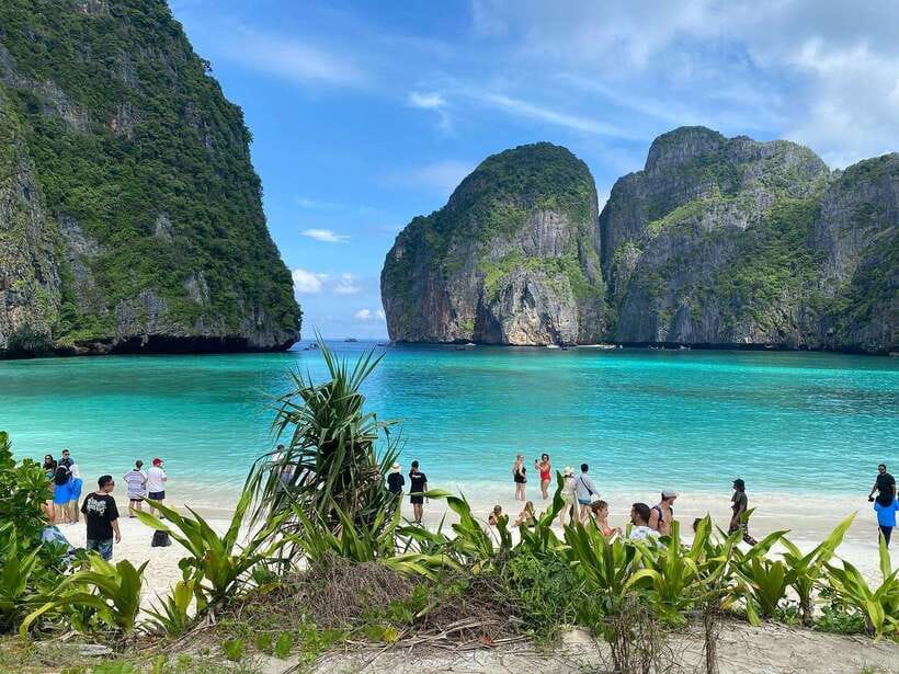 Ko Phi Phi Don: Speedboat Day Trip with Shark Snorkeling - Sunset on the Water and the Bioluminescent Plankton Swim