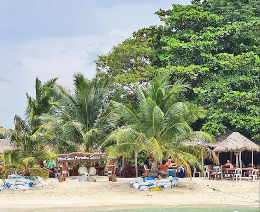 Ko Samui: Pig Island Snorkeling and Koh Tan Speedboat Tour - Koh Mudsum Pig Island: why it’s so memorable