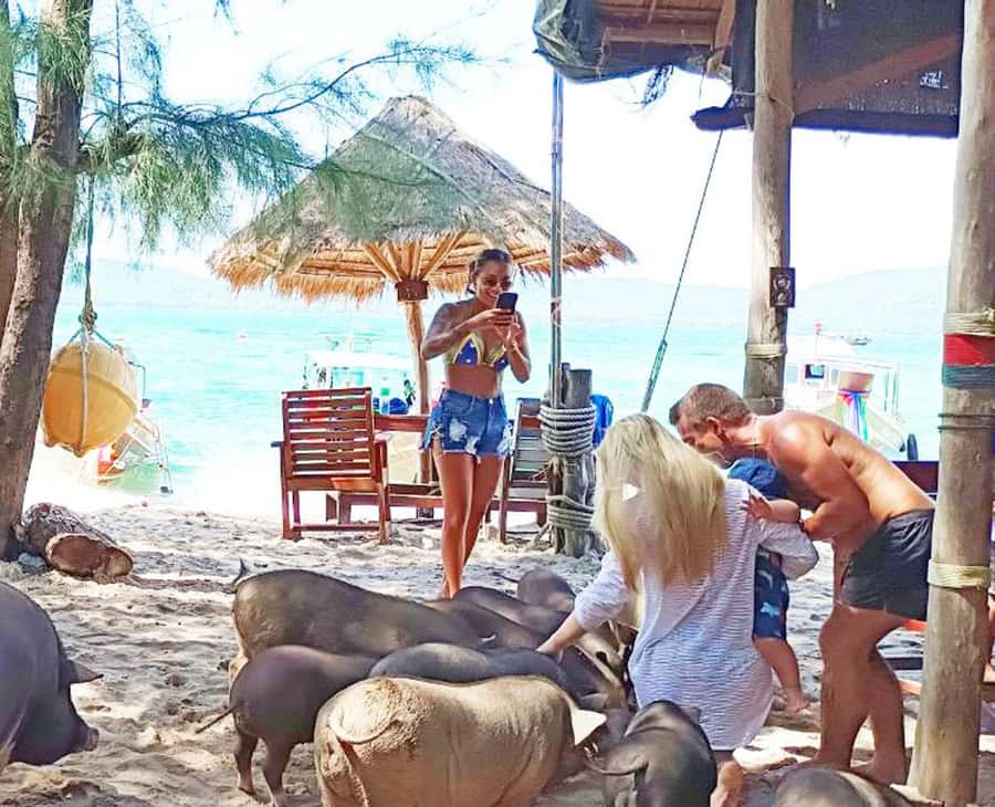 Ko Samui: Pig Island Snorkeling and Koh Tan Speedboat Tour - Lunch time on the beach: where the day slows down