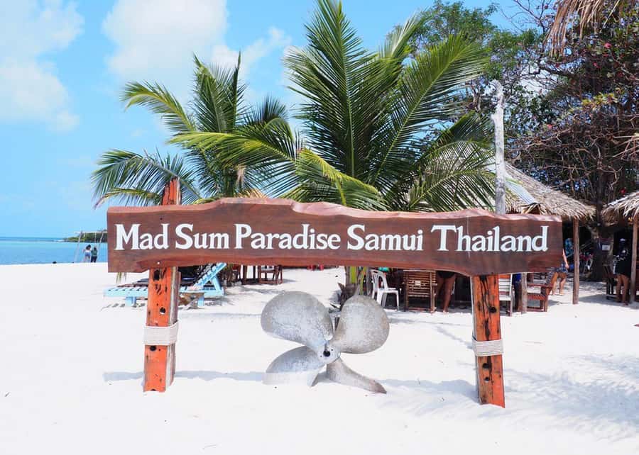 Ko Samui: Private Longtail Boat Tour to Koh Madsum & Koh Tan - Who this tour suits best, and who should rethink it