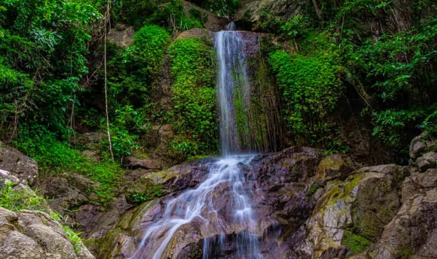 Ko Samui: Tree Bridge Jungle Zipline and Waterfall Adventure - Key things you will enjoy about Tree Bridge on Koh Samui