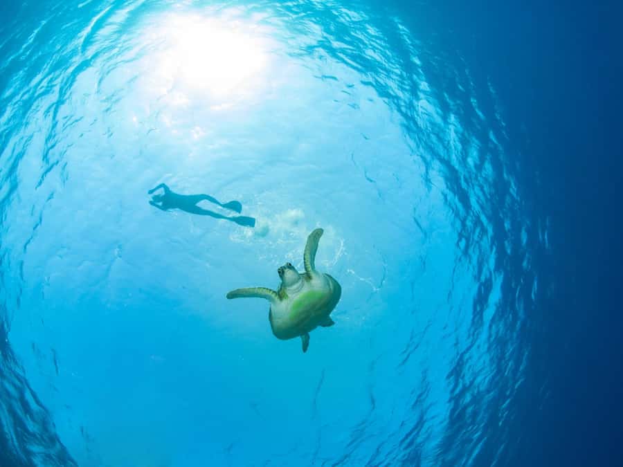 Ko Samui: Unique Ko Tao & Ko Nang Yuan Snorkeling Day Trip - Key Things to Know Before You Go