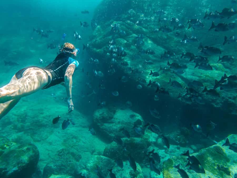 Ko Samui: Unique Ko Tao & Ko Nang Yuan Snorkeling Day Trip - Why This Ko Samui Day Trip Really Works