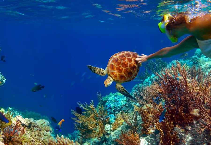 Ko Samui: Unique Ko Tao & Ko Nang Yuan Snorkeling Day Trip - Included Gear, Safety Basics, and What You Should Bring