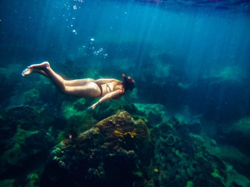 Ko Tao: Late Riser Snorkeling Tour with Lunch and Photos - Snorkeling gear, free underwater photos, and how to get results
