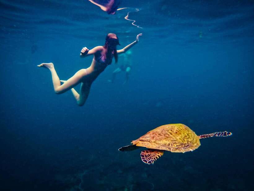 Ko Tao: Late Riser Snorkeling Tour with Lunch and Photos - Ao Luek: calm, clear water for more comfortable snorkeling