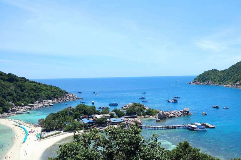 Ko Tao: Morning Trip to Ko Nangyuan’s Serene Oasis by Oxygen - Japanese Reef Garden snorkeling: coral, fish, and a clear shallow-world