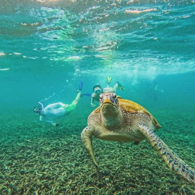 Ko Tao: Tao-Nangyuan Snorkeling Day Trip with Meals & Sunset - Aow Leuk: lots of fish, and the calm “float” factor