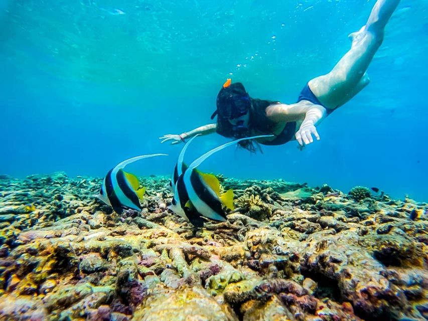 Ko Tao: Tao-Nangyuan Snorkeling Day Trip with Meals & Sunset - Meals onboard, the virgin mojito, and what you actually eat