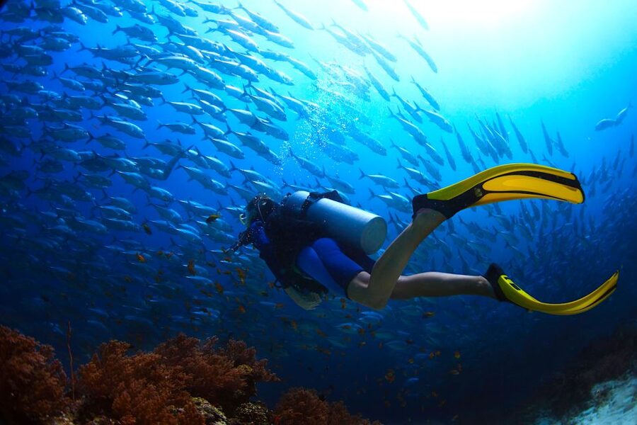 Ko Tao: Try Scuba Diving 1-Day Experience - Ko Tao makes a first scuba try session feel doable