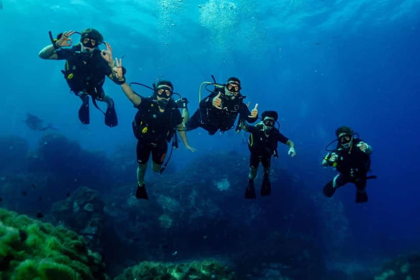 Ko Tao: Try Scuba Diving 1-Day Experience - What underwater time feels like up to 12 meters, and what you might spot