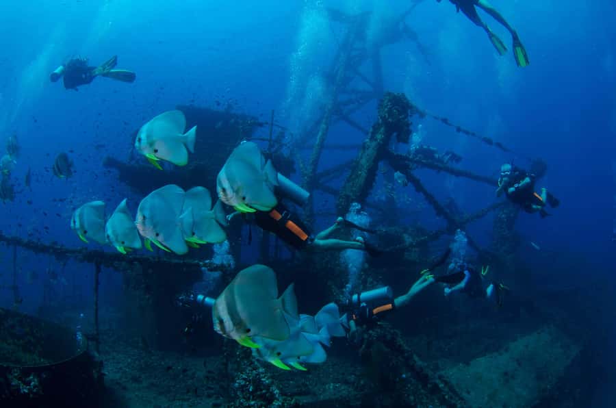 Koh Chang: 1-Day Dive Trip to Top Underwater Sites - Key Highlights Worth Getting Excited About