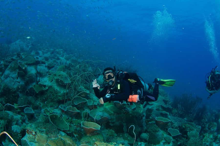 Koh Chang: 3-Day PADI Open Water Scuba Dive Course - Koh Chang’s 3-day PADI Open Water plan, and why it works
