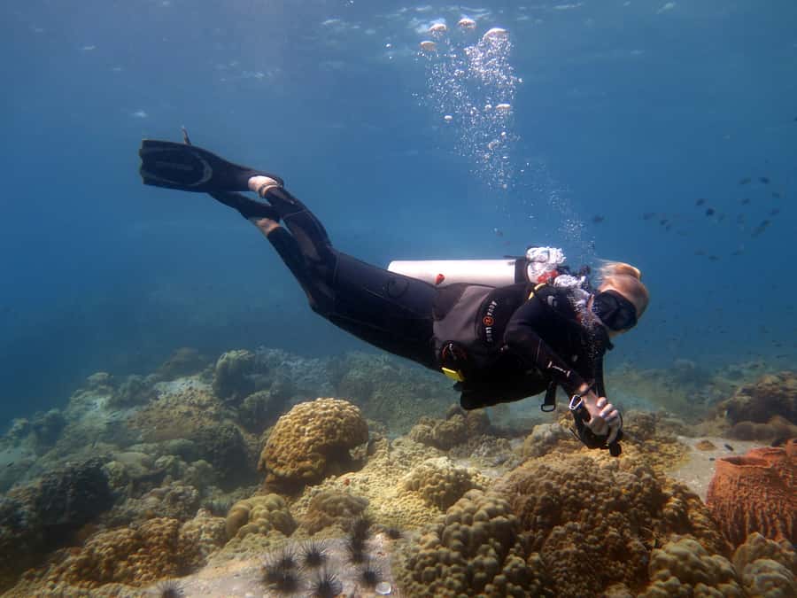 Koh Chang: 3-Day PADI Open Water Scuba Dive Course - Learning before you arrive: online theory that saves your time on the island
