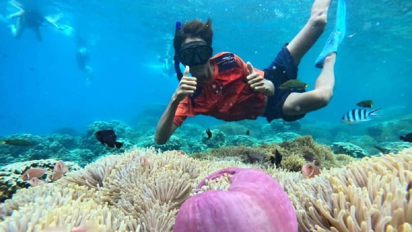Koh Chang: 5 Island Guided Boat Tour with Lunch Buffet - Koh Mapring and Koh Rang reefs (around midday): a second chance underwater