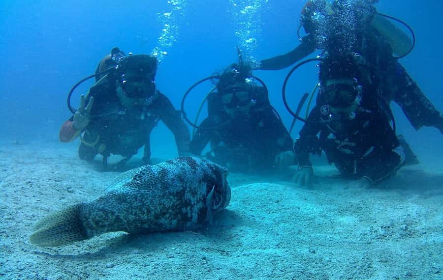 Koh Chang: Discover Scuba Diving for Beginners with 2 Dives - Ko Yak Lek and Your Second Underwater Session: More Time to Get It Right