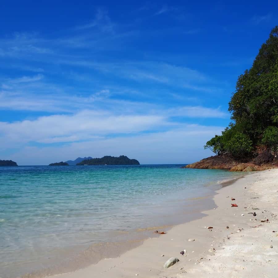 Koh Chang: Full-Day Private Day Trip - Than Mayom and Klong Son piers, plus fishing-harbor calm