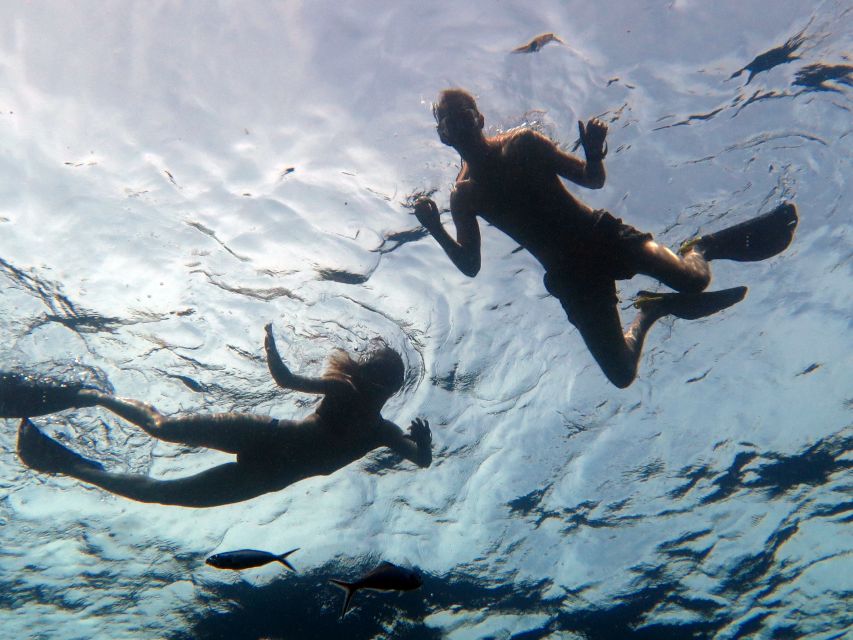 Koh Chang: Half-Day Snorkeling Adventure on a Speedboat - Two guided snorkeling stops around Koh Chang reefs and possibilities