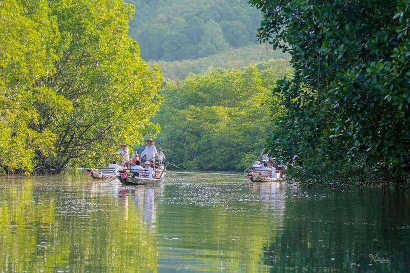 Koh Chang: Mangrove Forest Gondola Tour - Gliding through mangroves by paddle power