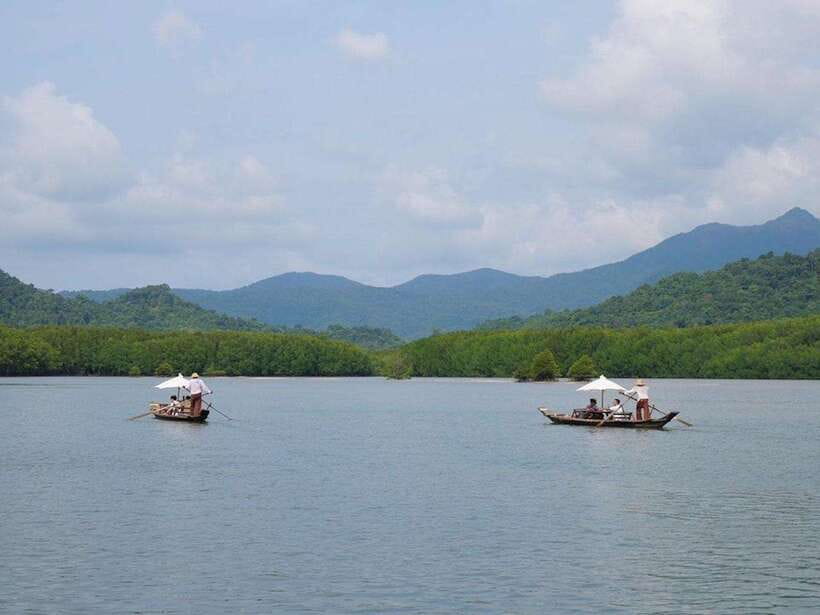 Koh Chang: Mangrove Forest Gondola Tour - Who this mangrove gondola fits best, and who should skip it