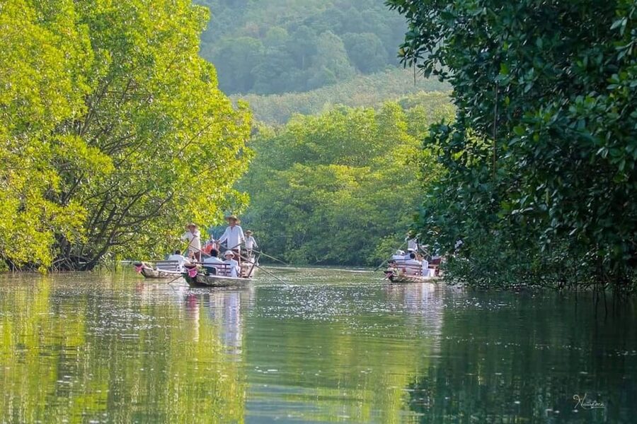 Koh Chang: Mangrove Forest Gondola Tour - Weather and sea conditions: the real-world rule
