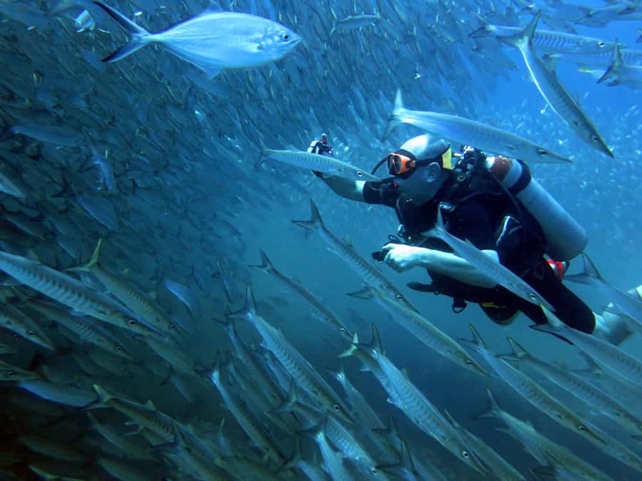 Koh Kood: Discover Scuba Diving for Beginners with 2 Dives - Koh Kood reefs, coached for first-time scuba students