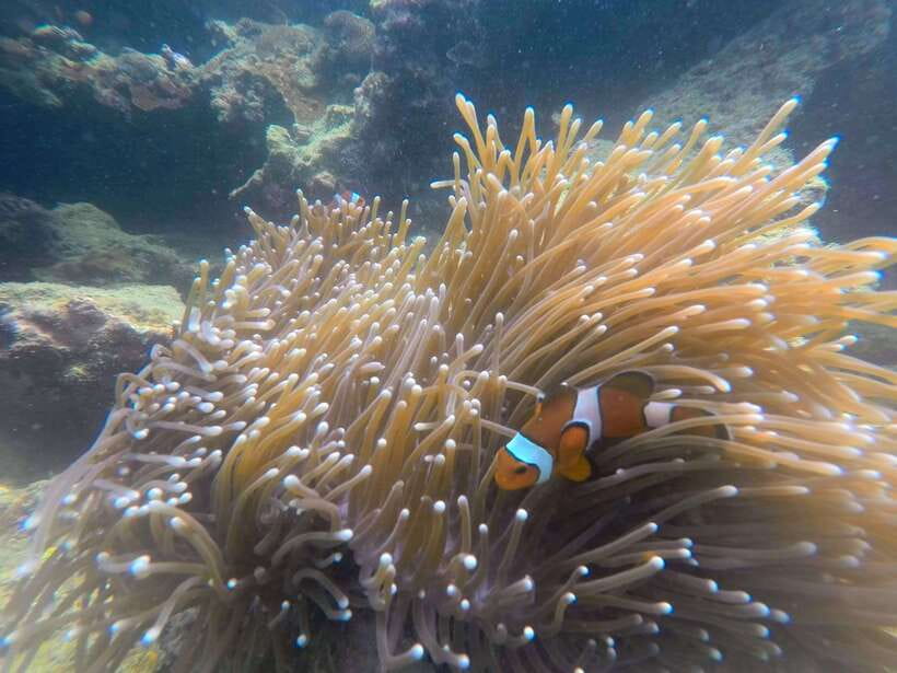 Koh Lanta: 4-Island Adventure Tour to Emerald Cave - Packing smart for hopping on and off the boat