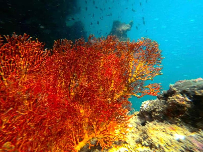 Koh Lanta: 4 Islands and Emerald Cave Snorkeling Trip - Koh Ngai snorkeling: limestone cliffs and an easy first swim