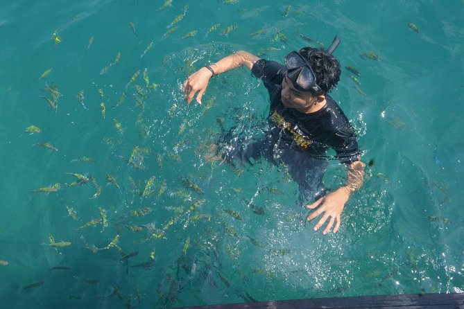 Koh Lanta: 4 Islands Tour by Speedboat with Snorkeling - Koh Kradan: beach buffet lunch, free time, then more snorkeling