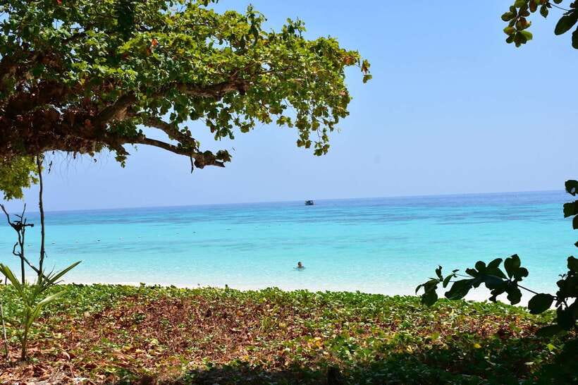 Koh Lanta: Adventure Sea Tour to Koh Rok and Koh Haa - Key things that make this Koh Lanta sea tour work