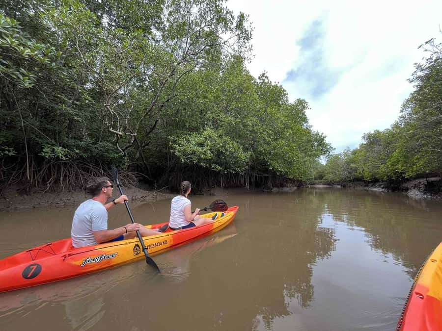 Koh Lanta: Amazon Mangrove Kayaking Tour With Lunch - Why Koh Lanta Mangroves Feel Different From Open-Water Paddling