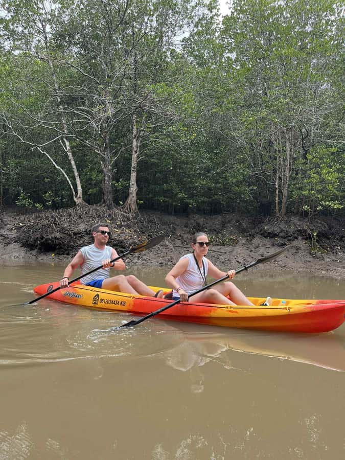 Koh Lanta: Amazon Mangrove Kayaking Tour With Lunch - Who Should Book This Mangrove Kayaking Day (and Who Might Not Love It)