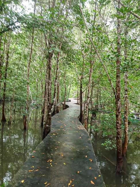 Koh Lanta Cultural Tuk-Tuk Tour: Old Town, Batik & Mangroves - What to bring and how to set yourself up for a smooth day