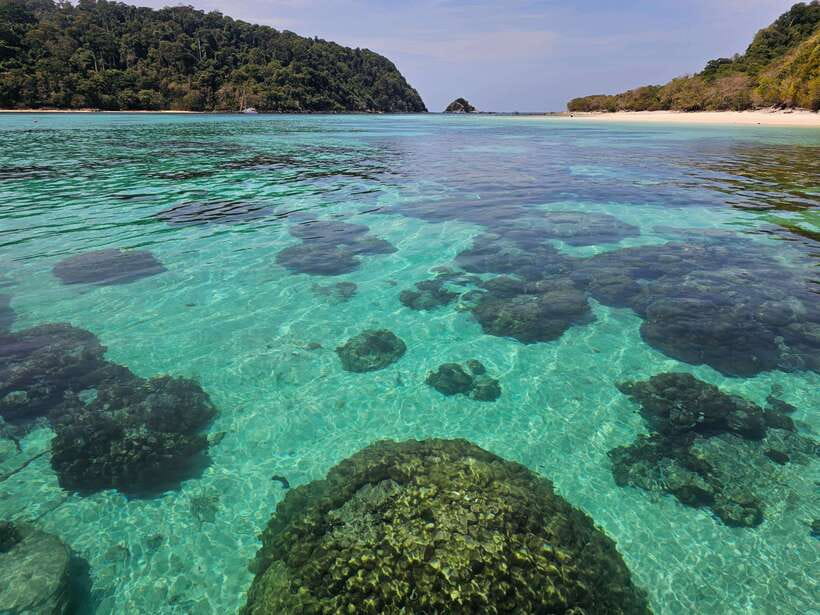 Koh Lanta: Koh Rok and Koh Haa Snorkeling Adventure - Price and value: what $54 really buys, plus the park fee