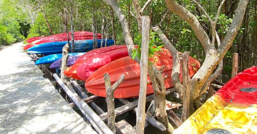 Koh Lanta:Mangrove + Elephant Camp Half Day Tour - Your 4-hour flow, from resort pickup to elephant park