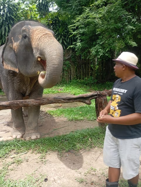 Koh Lanta:Mangrove + Elephant Camp Half Day Tour - Tum Mai Kaew elephant park: feeding, photos, and named stories
