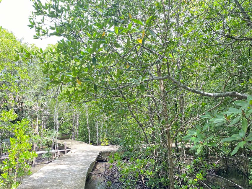 Koh Lanta:Mangrove + Elephant Camp Half Day Tour - Guides matter: Ka, Deen, and what to listen for
