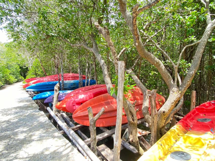 Koh Lanta:Mangrove + Elephant Camp Half Day Tour - Thung Yee Peng village stop and the 40 baht mangrove entry