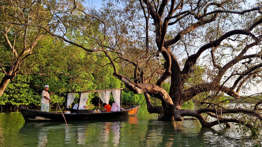 Koh Lanta: Romantic Sunrise Private Gondola Tour - Wildlife spotting: how to watch macaques and birds without stressing