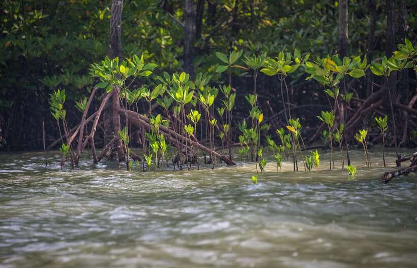 Koh Lanta: Sea Cave Kayaking and Talabeng Island Tour - Not for everyone: seasickness, pregnancy, and mobility limits