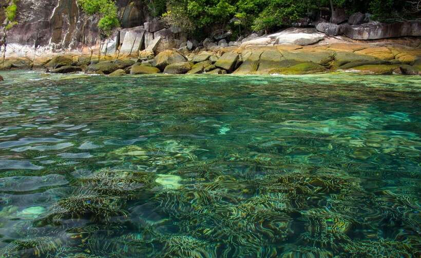 Koh Lipe: 5 Island Snorkeling Trip by Longtail Boat w/ Lunch - Koh Rawi Lunch on White Sand, Plus a Much-Needed Reset