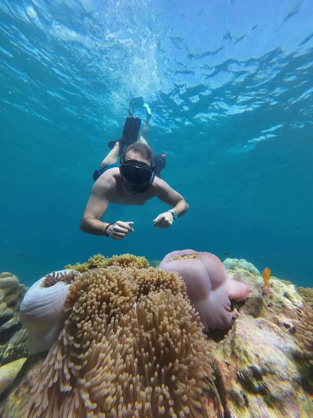 Koh Lipe: Half-Day Snorkelling Trip To 4 Islands 5 Points - Why This Half-Day Snorkel Works So Well on Koh Lipe