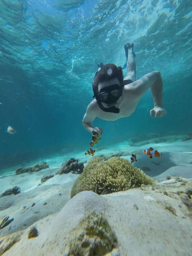 Koh Lipe: Half-Day Snorkelling Trip To 4 Islands 5 Points - Island Stop 1: Jabung Island and Its Seven-Colored Coral