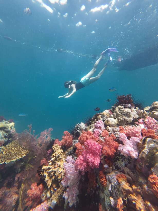 Koh Lipe: Half-Day Snorkelling Trip To 4 Islands 5 Points - Hin Ngam Island Black Stone Beach, No Sand Required