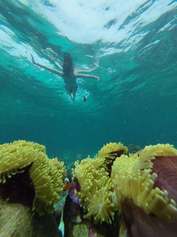 Koh Lipe: Half-Day Snorkelling Trip To 4 Islands 5 Points - Snorkeling Behind Hin Ngam: Clownfish and Several Coral Types