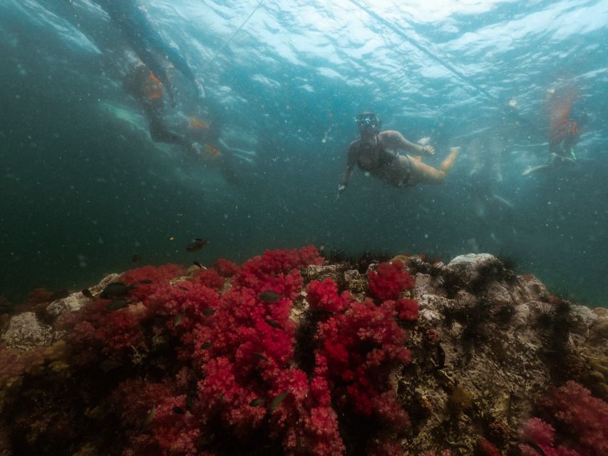 Koh Lipe: Longtail Boat Snorkeling Trip with Lunch - Koh Lipe Longtail Snorkeling: Why This Route Makes Sense