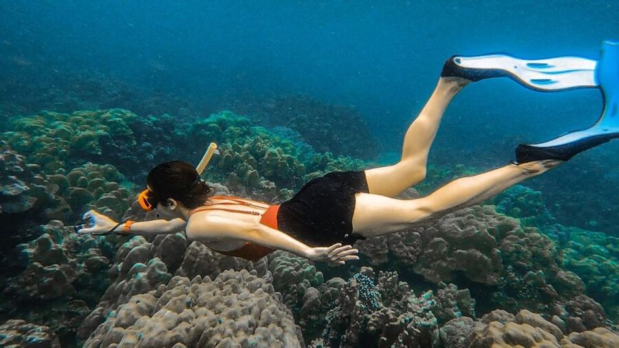 Koh Lipe: Longtail Boat Snorkeling Trip with Lunch - Price and What You Actually Get for Around $18