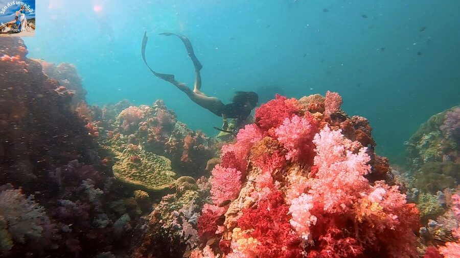 Koh Lipe: Outer Islands Snorkeling Trip by Longtail Boat - Koh Dong Monkey Beach lunch: a real break between snorkels