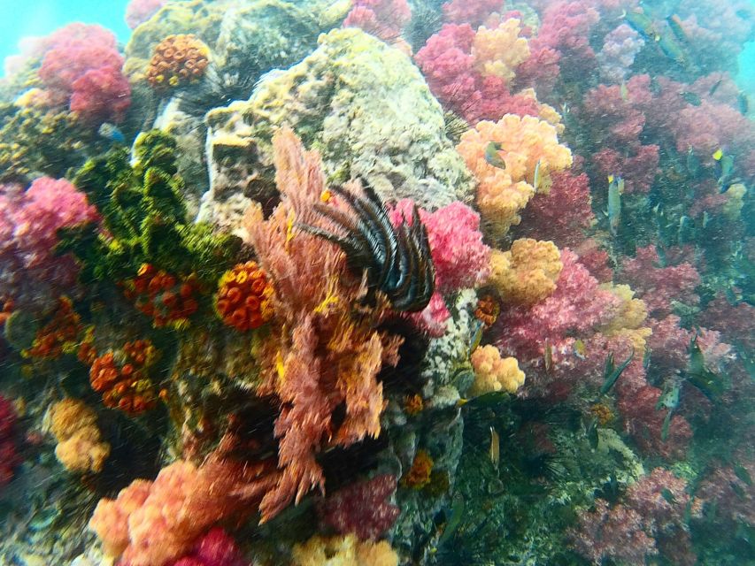 Koh Lipe Snorkeling Trip 6 hours Trip1 - Boarding the Longtail Boat: Getting from Island to Reef Fast